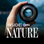 Nature On Pbs