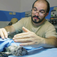 Interview with Alejandro Morales, assistant director of the ARCAS wildlife refuge