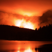 Yosemite and Climate Change with Wildlife Filmmaker Joe Pontecorvo
