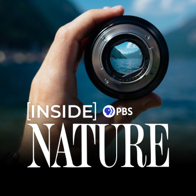 Nature On Pbs