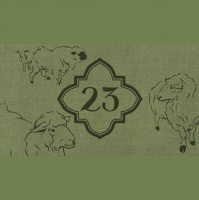 Who Is Your Shepherd