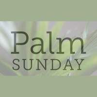 When Expectations Die