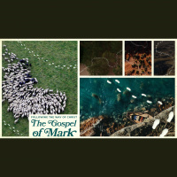 Living the Transfiguration