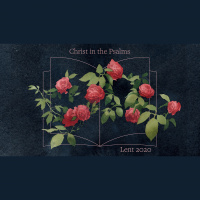 Finding a Refuge - Being a Refuge