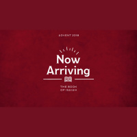 Now Arriving: The Gift of Bethlehem Comfort