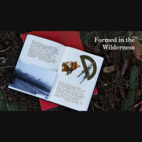 Formed in the Wilderness