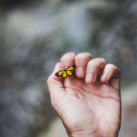 465 - You may say Im a DREAMER... but Im not the only one!