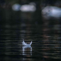 830 - Ansiedade: 10 Rules For A Quiet Life {Part II}