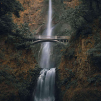 797 - Tudo o que você precisa saber sobre o Oregon!