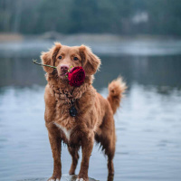 1052 - Valentines Day - we love you!