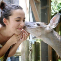 289 - Inglês Nu E Cru Verde - Precisamos falar sobre Branding {Part III} 