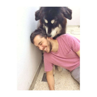 234 - Homophones: o que são, para o que servem e como vão melhorar o seu inglês