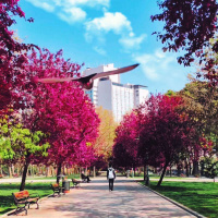 868 - Palaces For The People: Você acha parques importantes?