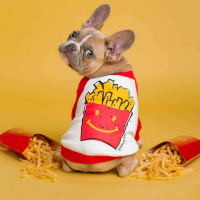 647 - English expressions: food! {Part II}