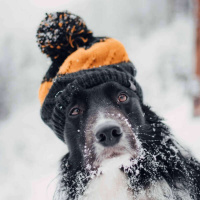 584 - Como falar sobre o frio em inglês!