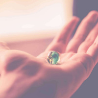 667 - The Social Dilemma: o que está acontecendo com o mundo?