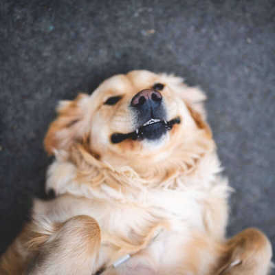 Inglês Nu E Cru Rádio