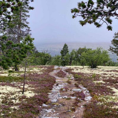 Inglês Nu E Cru Rádio