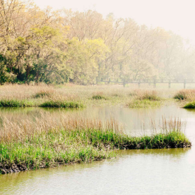 Inglês Nu E Cru Rádio