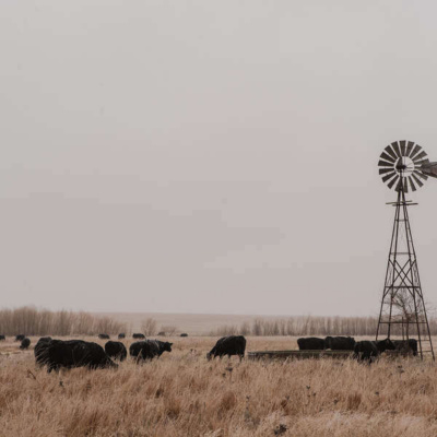 Inglês Nu E Cru Rádio