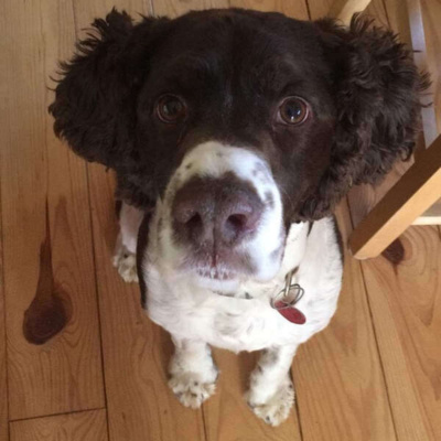 Inglês Nu E Cru Rádio