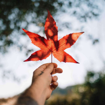 Inglês Nu E Cru Rádio