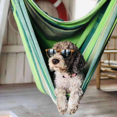 Inglês Nu E Cru Rádio