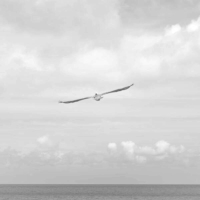 Inglês Nu E Cru Rádio