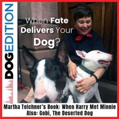 Inglês Nu E Cru Rádio