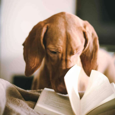 Inglês Nu E Cru Rádio