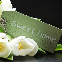 Choque cultural inverso