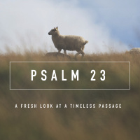 Psalm 23 Series Week 6 - Thy Rod and Thy Staff