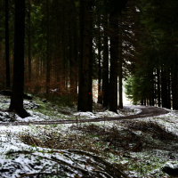 Folge 52 | Alexander Krauß - CDU