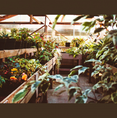 Sächsische Verhältnisse