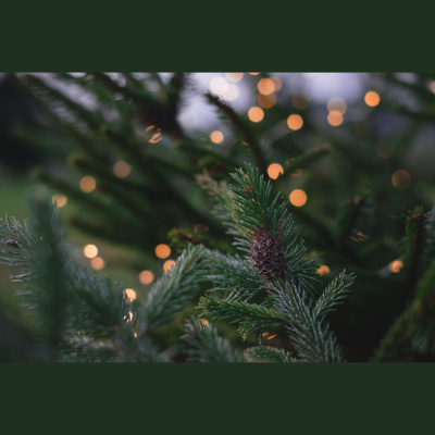 Sächsische Verhältnisse