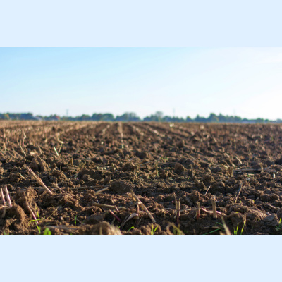 Sächsische Verhältnisse