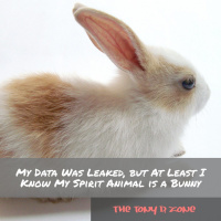 My Data Was Leaked, but At Least I Know My Spirit Animal is a Bunny