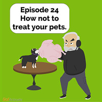 How Not To Treat Your Pets | Brilliant Observations 024