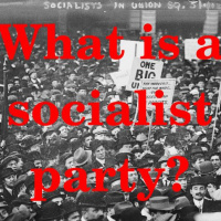 What is a socialist party? An introduction to the course