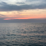 John Malone Jrs Show