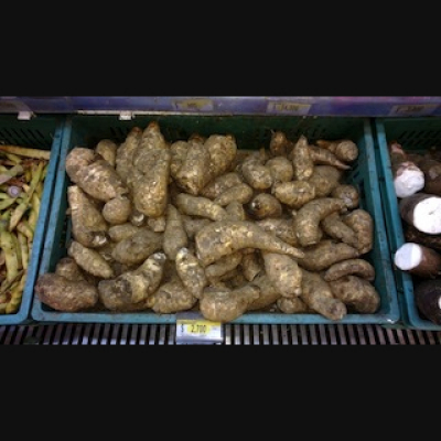 The Plant Report- Every Plant Has A Story