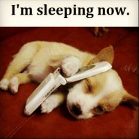 Rare Radio Moments with Luke Bona