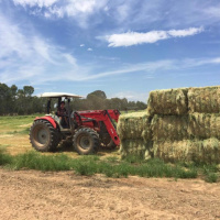 Murray Darling - anyone listening??