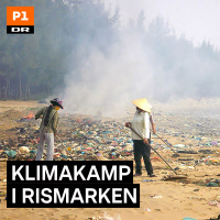 Klimakamp i rismarken 2:2 2017-09-18
