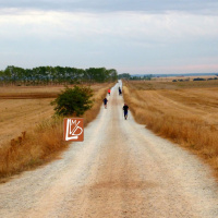 Contemplativos en el mundo