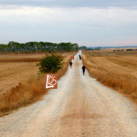 Reciclar desperdicios
