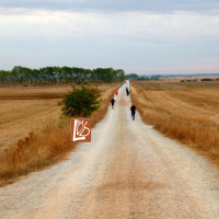 Confianza en la gracia