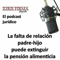 La falta de relación padre-hijo puede motivar extinguir la pensión alimenticia