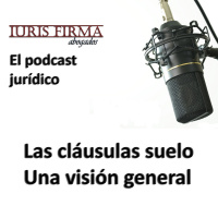 1. Las cláusulas suelo. Una visión general