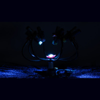 Inside the Lens Episode 11 – Larry T and the Platypod Journey